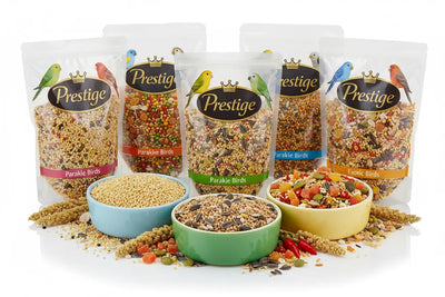 Alimentation-Graines-Mélanges-Premium-pour-Oiseaux BIRD SHOP ORNITHOLOGIE LUXEMBOURG S.A.R.L-S