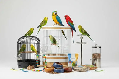 Perruches & Perroquets-Alimentation & Accessoires - BIRD SHOP ORNITHOLOGIE LUXEMBOURG S.A.R.L-S