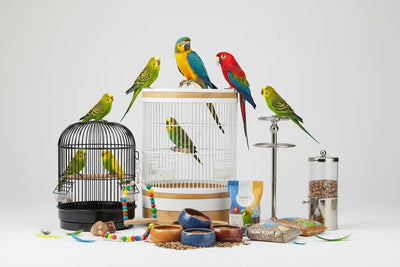 Perruches-Perroquets-Alimentation-Accessoires BIRD SHOP ORNITHOLOGIE LUXEMBOURG S.A.R.L-S