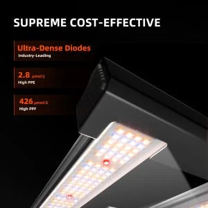 2025 Spider Farmer® G1500 150W WiFi & Bluetooth Lampe de culture LED contrôlée par l’application Spectre complet Dimmable Pflanzenlampe, pour tente de culture 60x60cm - 90x90cm SPIDER FARMER