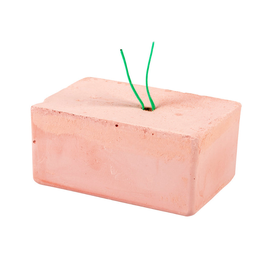 Plus bloc énergie medium rouge 7,2x4,7x4,7cm / par pièce - BIRD SHOP ORNITHOLOGIE LUXEMBOURG