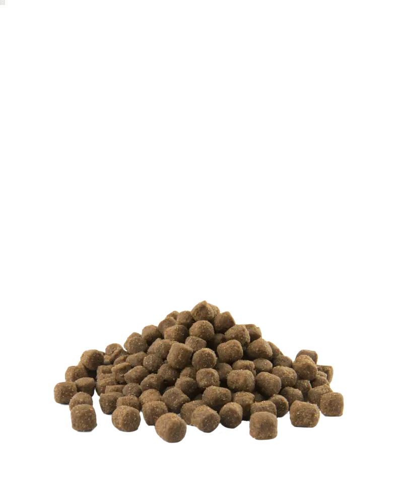 Adult Digestion Mini - petits chiens - Agneau 2,5kg - Opti Life Versele-Laga