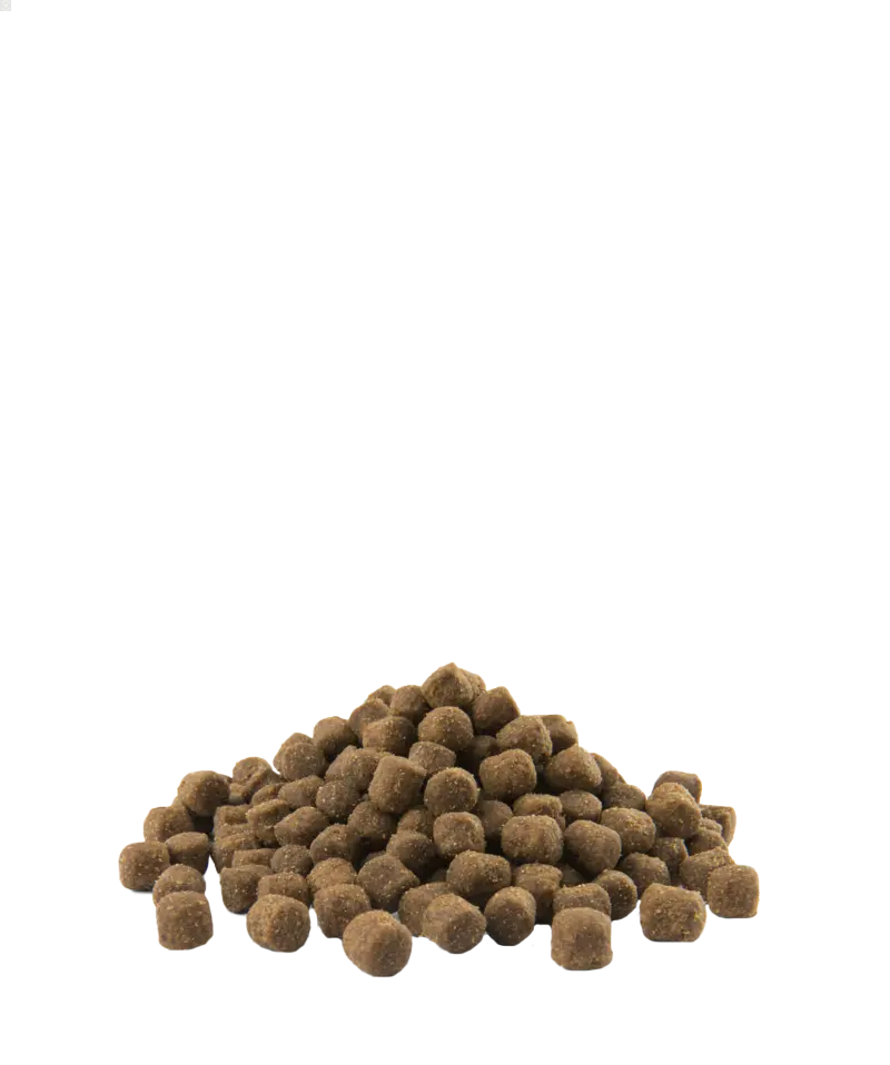 Adult Mini - petits chiens adultes - Poulet 2,5kg - Opti Life Versele-Laga
