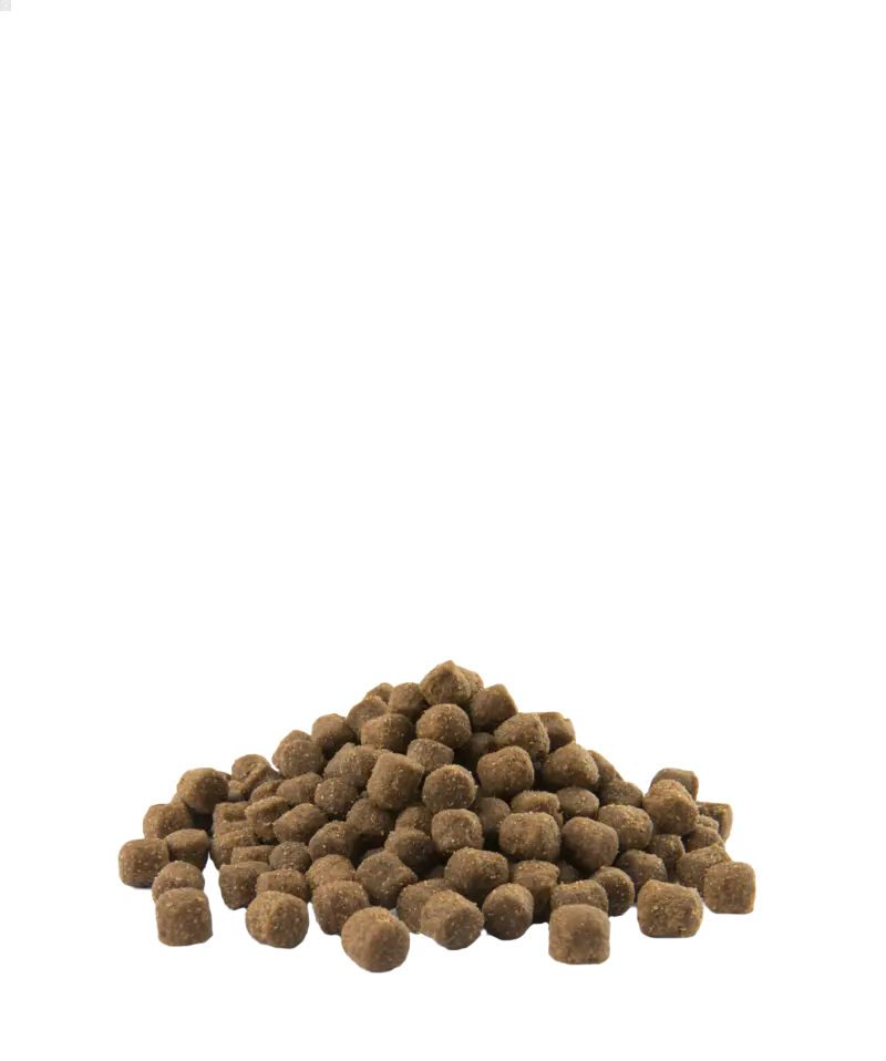 Adult Skin Care Medium & Maxi - chiens grands & moyens - Saumon 2,5kg - Opti Life Versele-Laga