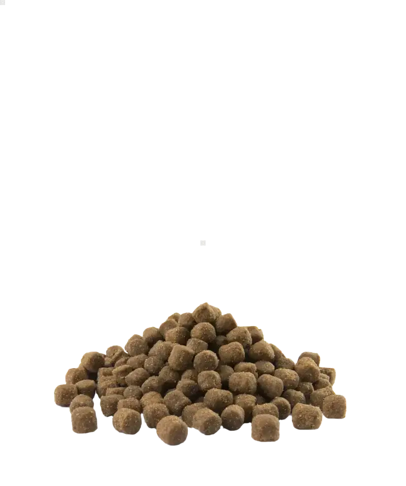 Adult Skin Care Mini - petits chiens - Saumon 2,5kg - Opti Life - BIRD SHOP ORNITHOLOGIE LUXEMBOURG S.A.R.L-S