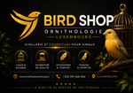 BIRD SHOP ORNITHOLOGIE LUXEMBOURG