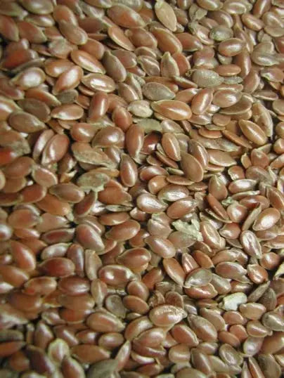 Graines de Lin 99.5% - Vrac au kilo Bird Shop Ornithologie Luxembourg