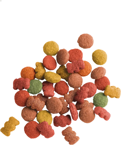 LARA Adult Goût de Bœuf 2 KG Versele-Laga