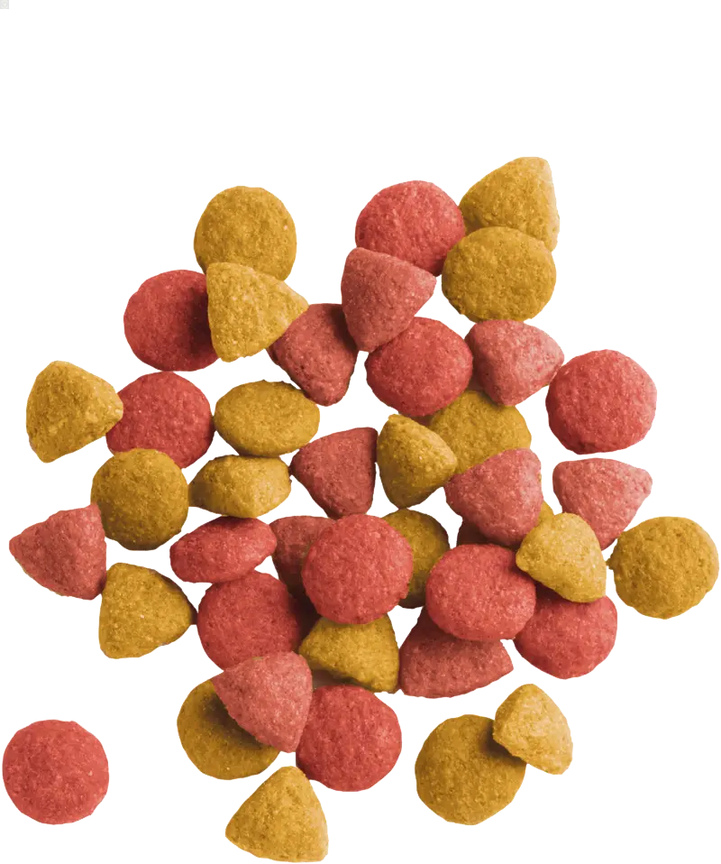 LARA Adult Sterilized 2 KG Versele-Laga