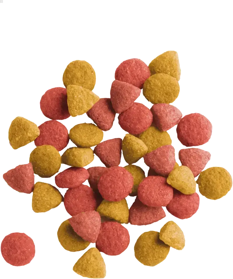 LARA Adult Urinary Care 2 KG - BIRD SHOP ORNITHOLOGIE LUXEMBOURG S.A.R.L-S