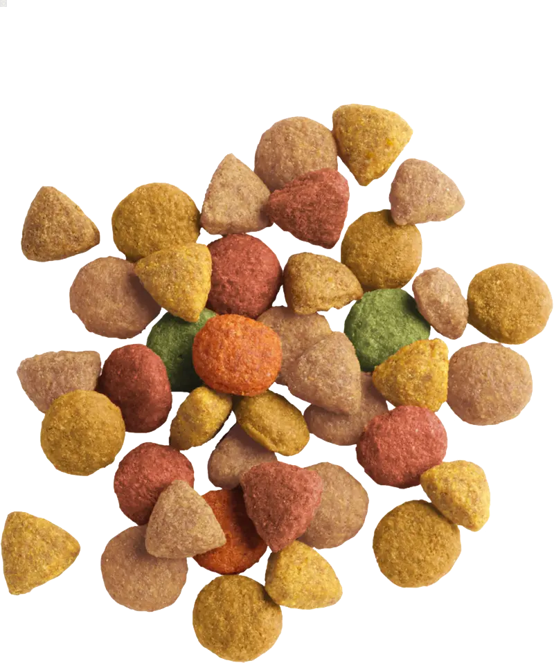 LARA Adult à la Dinde & au Poulet 2 KG Versele-Laga