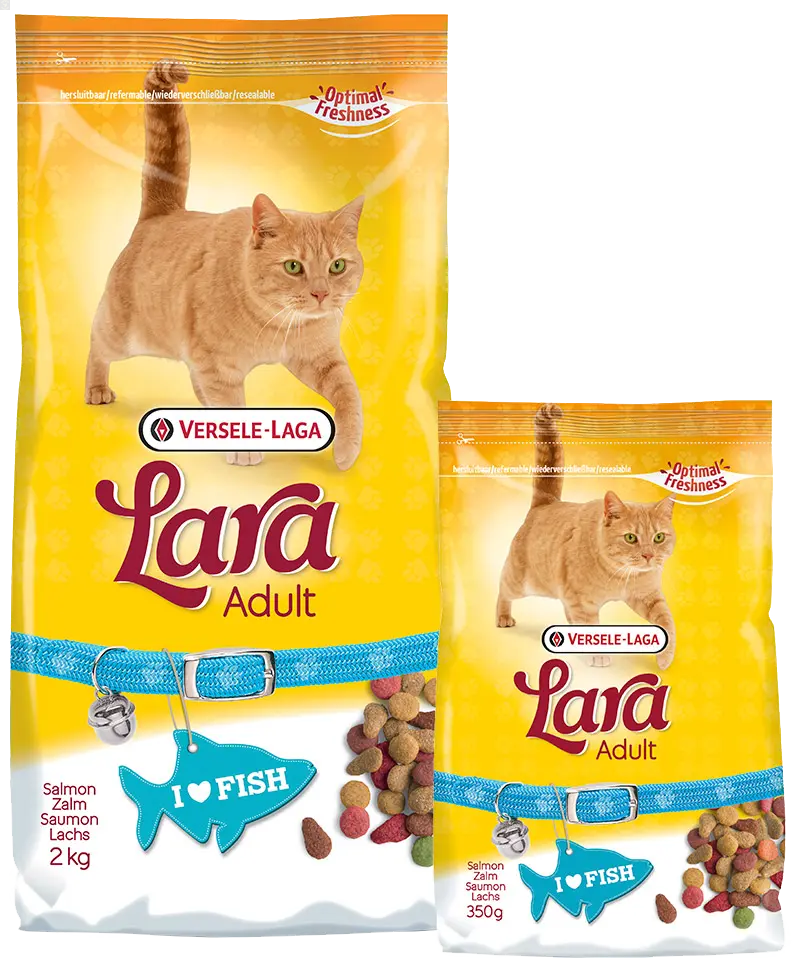 LARA Adult au Saumon 2 KG Versele-Laga