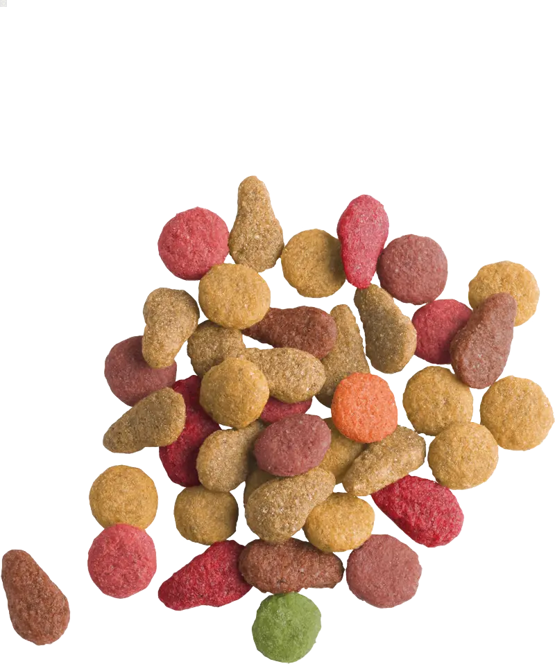 LARA Adult au Saumon 2 KG Versele-Laga