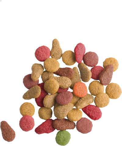 LARA Adult au Saumon 2 KG Versele-Laga