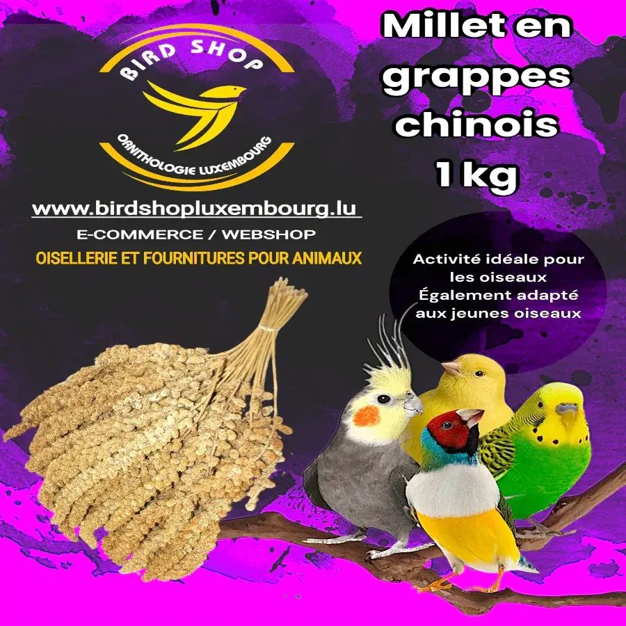 Millet en grappes jaune chinois 1 KG - BIRD SHOP ORNITHOLOGIE LUXEMBOURG S.A.R.L-S
