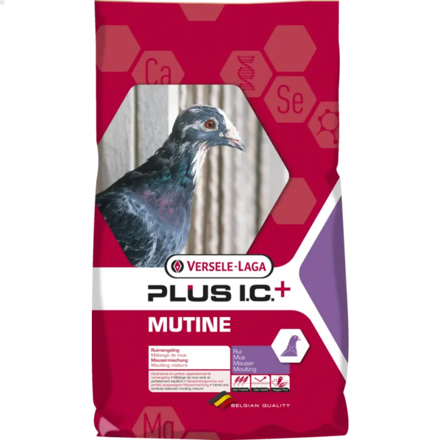 Multine Plus I.C + - BIRD SHOP ORNITHOLOGIE LUXEMBOURG S.A.R.L-S