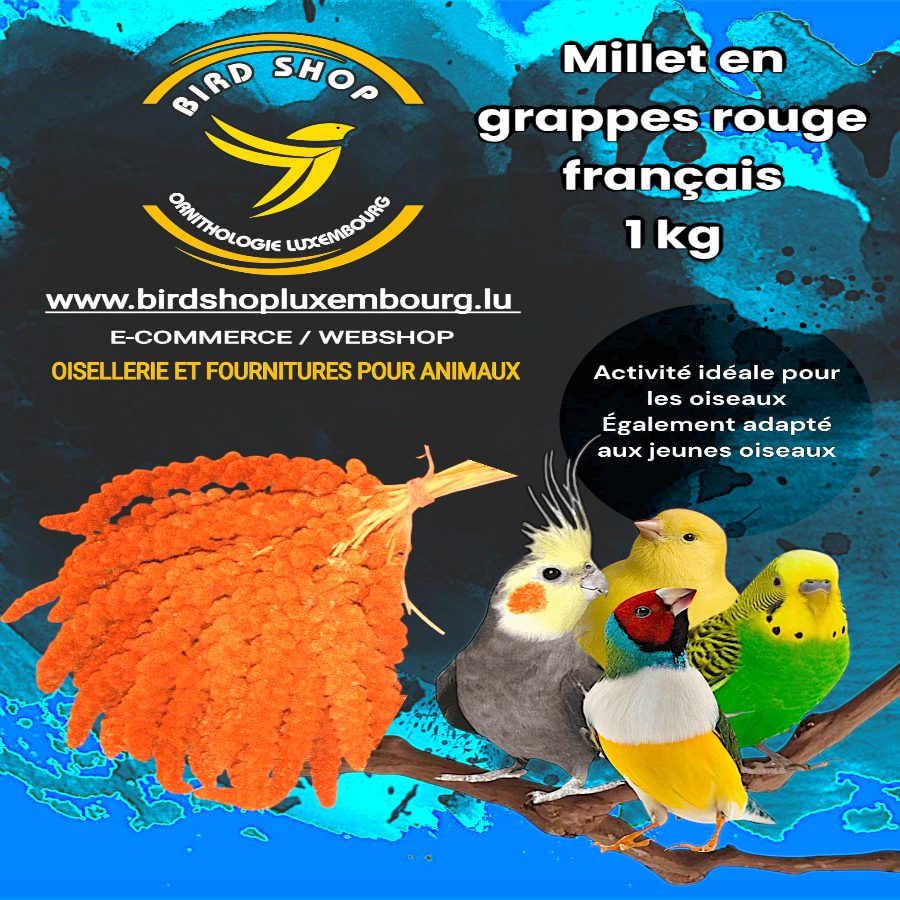 Millet en grappes rouge français 1 KG - BIRD SHOP ORNITHOLOGIE LUXEMBOURG