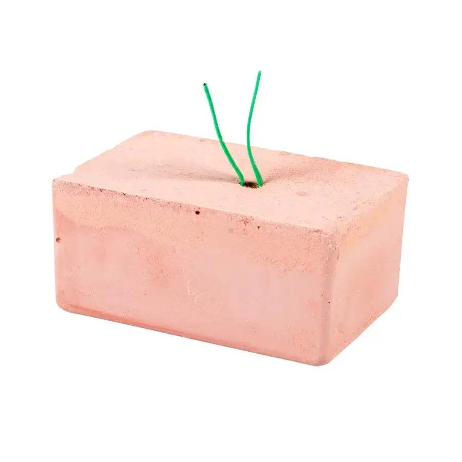 Plus bloc énergie medium rouge 7,2x4,7x4,7cm / par pièce - BIRD SHOP ORNITHOLOGIE LUXEMBOURG S.A.R.L-S