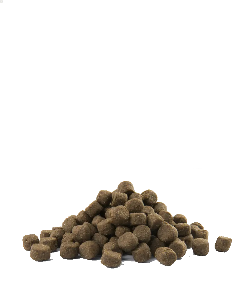 Prime Adult All breeds sans céréales au poulet 2,5kg - Opti Life Versele-Laga