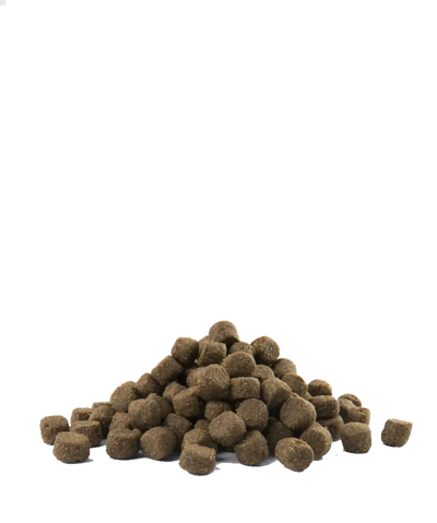 Prime Adult All breeds sans céréales au saumon 2,5kg - Opti Life Versele-Laga