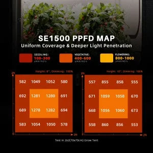 Spider Farmer SE1500 150W Led Grow Light Samsung LM301H EVO Lampe avec Bluetooth & WiFi Smart APP Control pour 70x70cm SPIDER FARMER