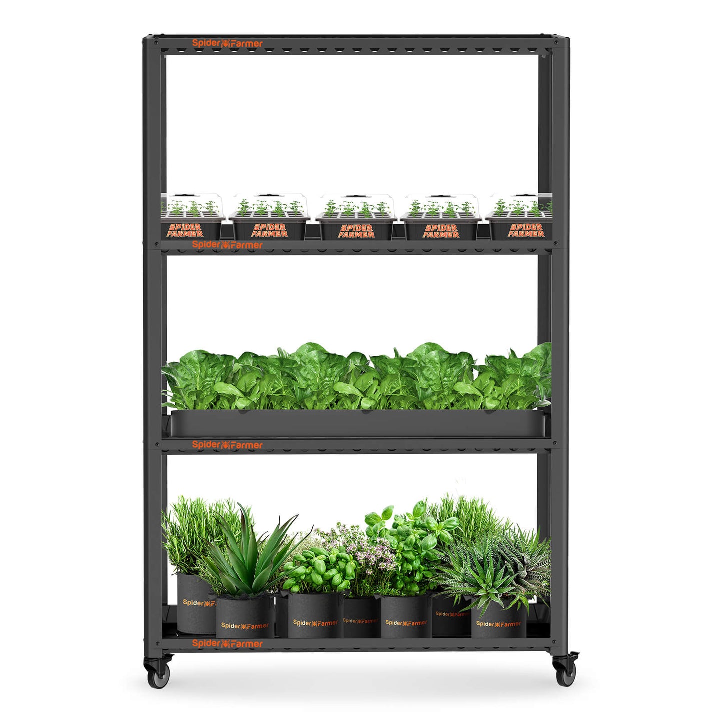 2025 La plus récente version Spider Farmer SF600 74W LED Grow Light Hydroponics Grow Indoor Flower Garden SPIDER FARMER
