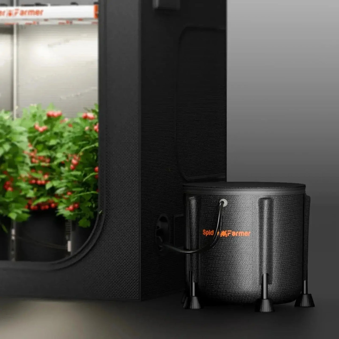 Spider Farmer Système d’irrigation goutte à goutte automatique pour plantes Pompe à eau avec 8 émetteurs de goutte à goutte - BIRD SHOP ORNITHOLOGIE LUXEMBOURG S.A.R.L-S