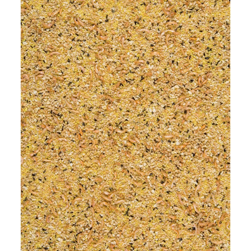 Gold Crumble Pâtée Sèche Oiseaux Exotiques - 4kg - NutriBird Versele-Laga