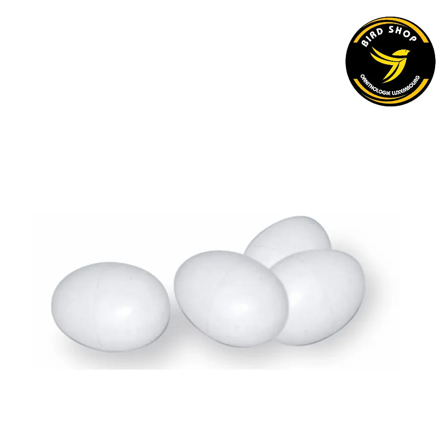 100 Oeufs factices pour exotiques - BIRD SHOP ORNITHOLOGIE LUXEMBOURG
