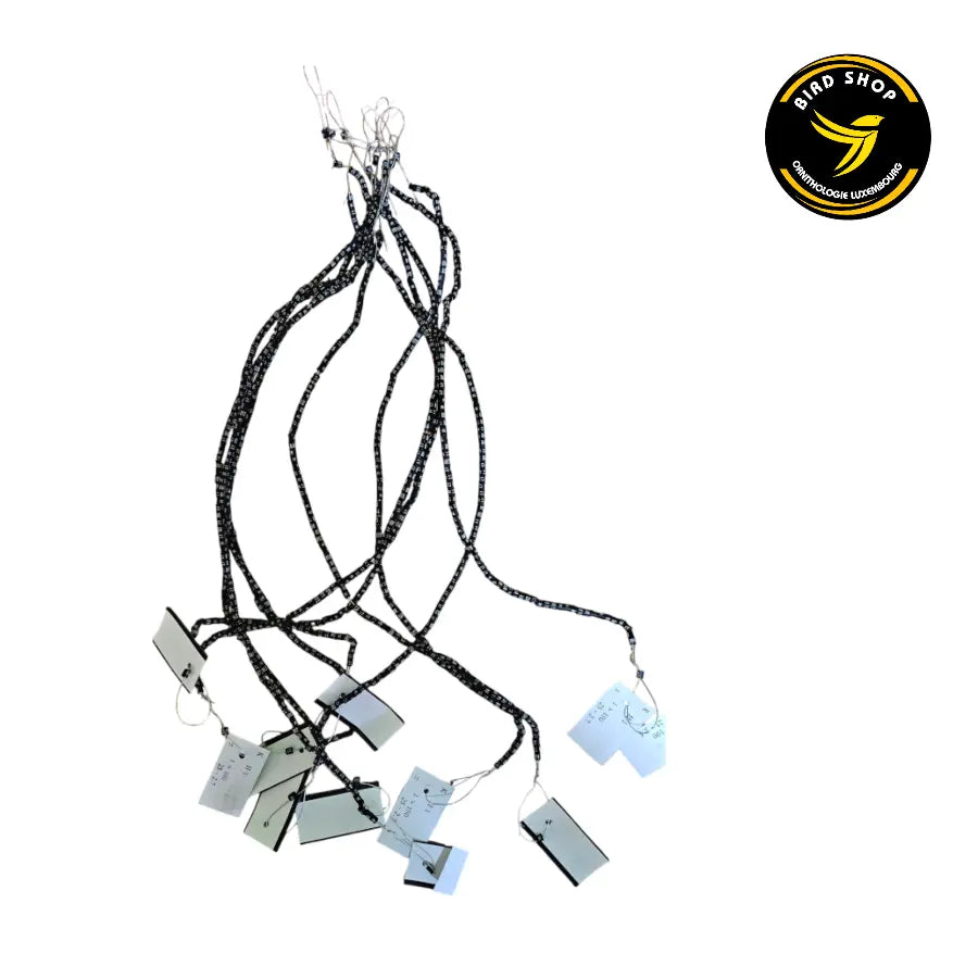 Bagues 2025 Commande en ligne( Disponible directement en taille 2,5mm et 2,7mm) - BIRD SHOP ORNITHOLOGIE LUXEMBOURG