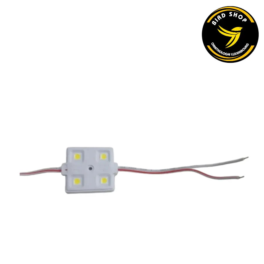 Module LED étanche 1W - 12V pour cage - BIRD SHOP ORNITHOLOGIE LUXEMBOURG