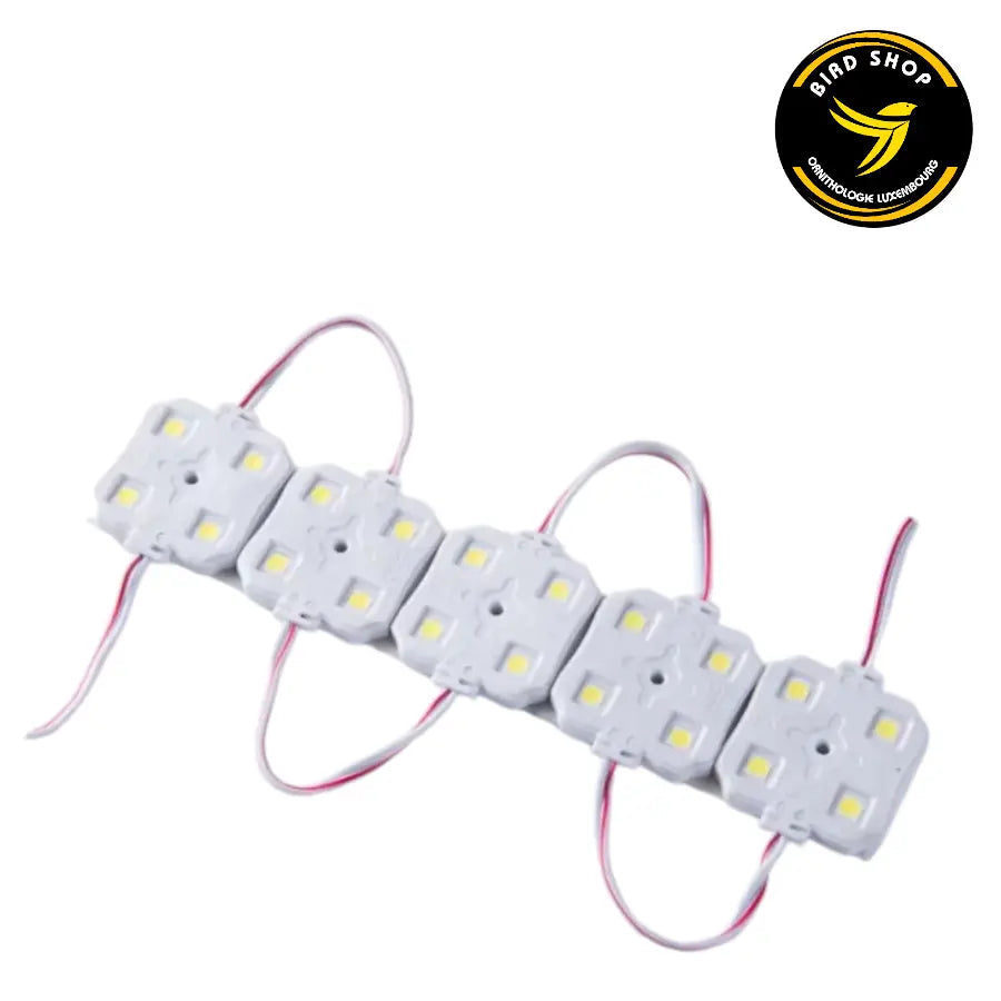 Module LED étanche 1W - 12V pour cage - BIRD SHOP ORNITHOLOGIE LUXEMBOURG
