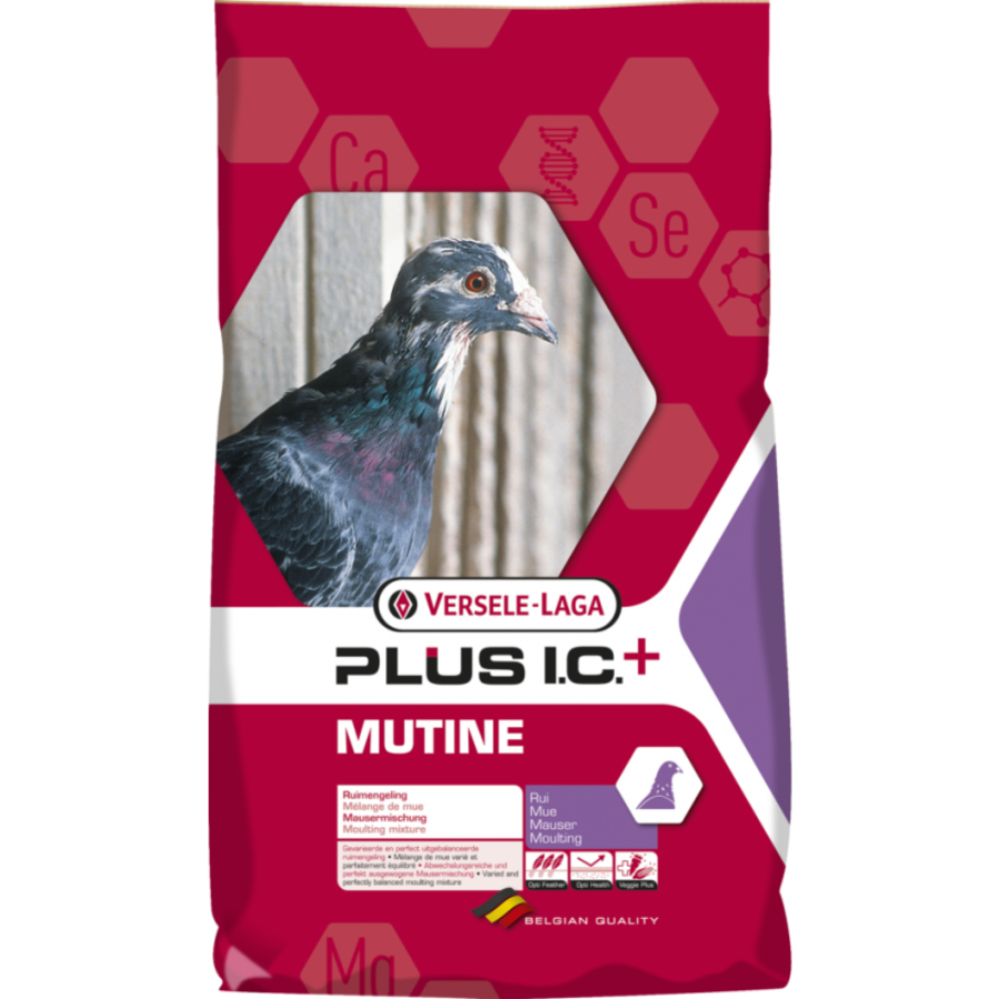 Multine Plus I.C + - BIRD SHOP ORNITHOLOGIE LUXEMBOURG S.A.R.L-S