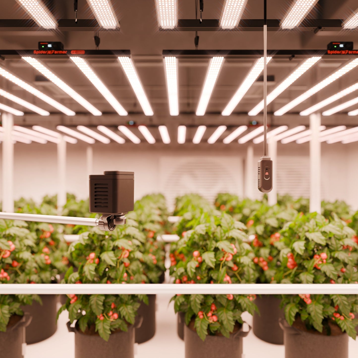 2025 Spider Farmer Genius Grow System SensorPro Set avec capteur CO₂ et compteur PAR - idéal pour optimiser les tentes et les salles de culture SPIDER FARMER