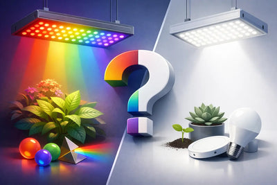 LED spectre complet vs blanc: que choisir ?