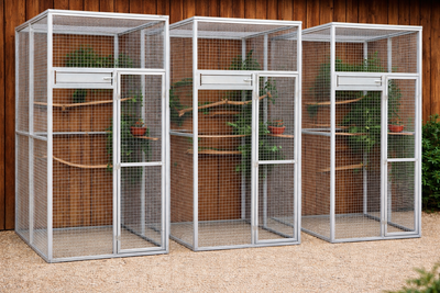 Volières en Aluminium sur Mesure : La Solution Premium pour Vos Oiseaux - BIRD SHOP ORNITHOLOGIE LUXEMBOURG