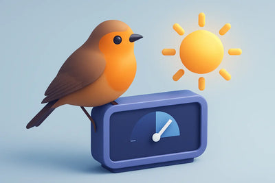 Photopériode oiseaux: combien d’heures de lumière?
