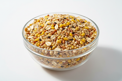 Mélange de graines premium pour canaris - Alimentation équilibrée - Bird Shop Luxembourg