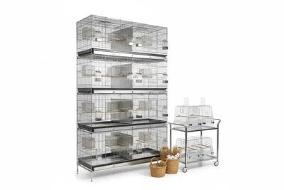 Cages et Équipements d'Élevage : Matériel Professionnel pour Éleveurs - BIRD SHOP ORNITHOLOGIE LUXEMBOURG S.A.R.L-S