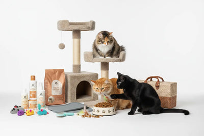 Chats-Alimentation-Accessoires BIRD SHOP ORNITHOLOGIE LUXEMBOURG S.A.R.L-S