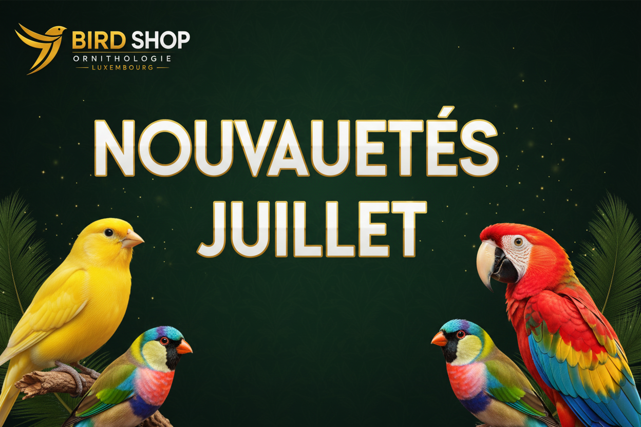 Nouveautés Juillet 2026