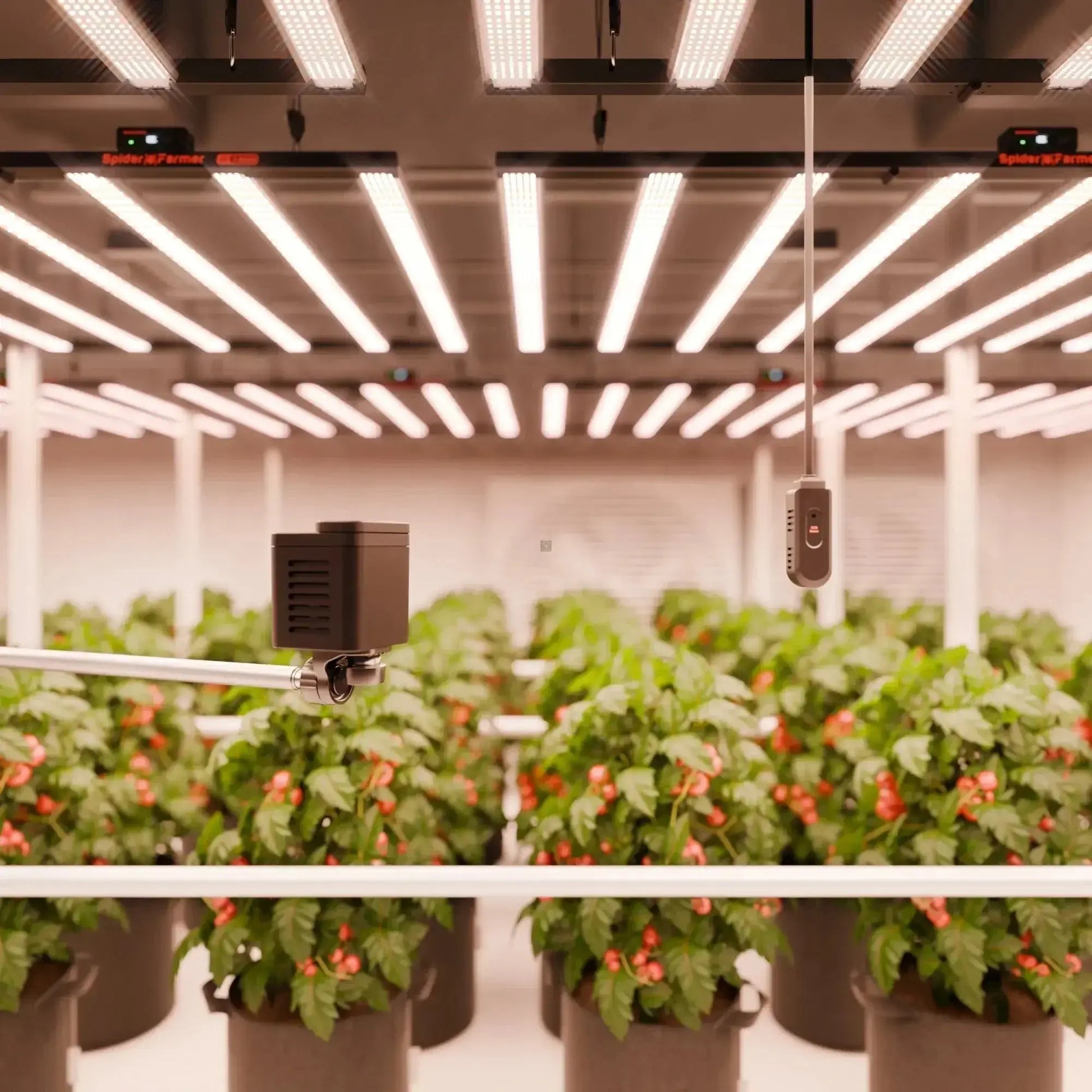 2025 Spider Farmer Genius Grow System SensorPro Set avec capteur CO₂ et compteur PAR-idéal pour optimiser les tentes et les salles de culture - BIRD SHOP ORNITHOLOGIE LUXEMBOURG S.A.R.L-S