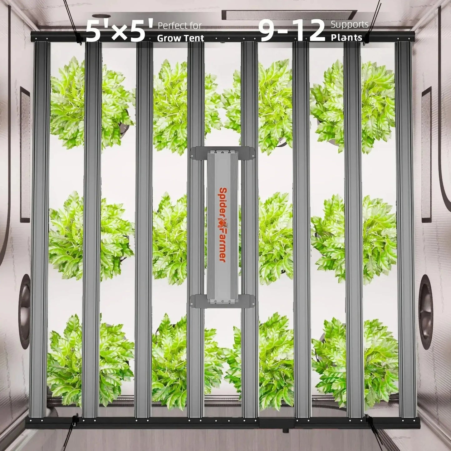 2025 Spider Farmer® Boîte de culture automatisée Set complet – 150×150×200 cm pour 9 plantes | G 1000W Lampe à LED à spectre complet - BIRD SHOP ORNITHOLOGIE LUXEMBOURG S.A.R.L-S