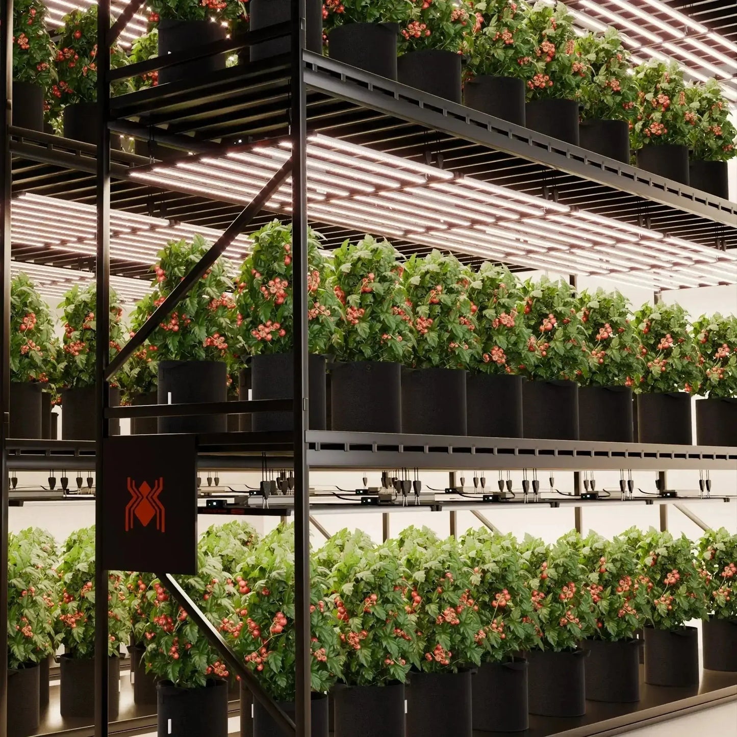 2025 Spider Farmer® G1000W WiFi & Bluetooth Lampe de culture LED contrôlée par l’application Spectre complet Dimmable Pflanzenlampe, pour tente de culture 150x150cm - BIRD SHOP ORNITHOLOGIE LUXEMBOURG S.A.R.L-S