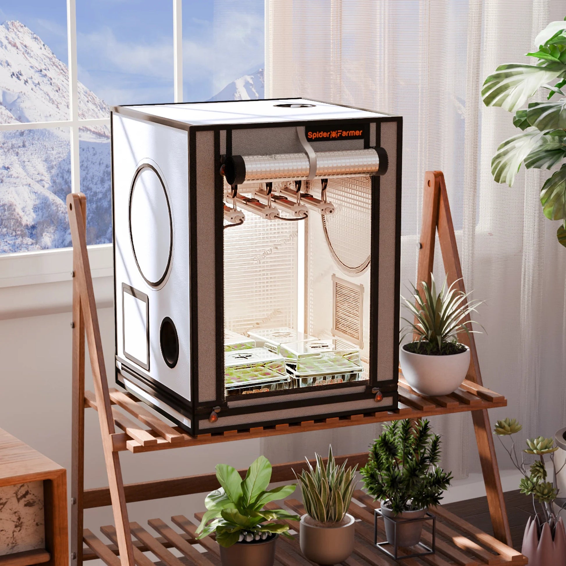 [NOUVEAUTÉ 2025] Spider Farmer 60x60x80cm Mini tente de culture intérieure 2000D Oxford Cloth High Reflective Cloning Growzelt Seedling Vegetable Grow Box SPIDER FARMER