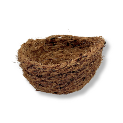 Incrustation nid coco OST