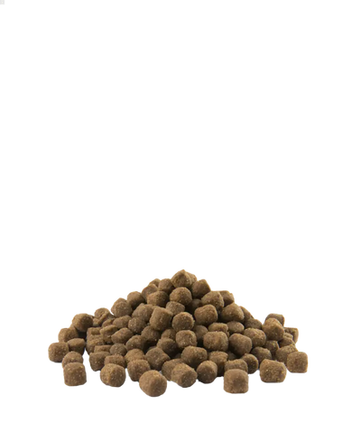 Adult Skin Care Medium & Maxi - chiens grands & moyens - Saumon 2,5kg - Opti Life Versele-Laga