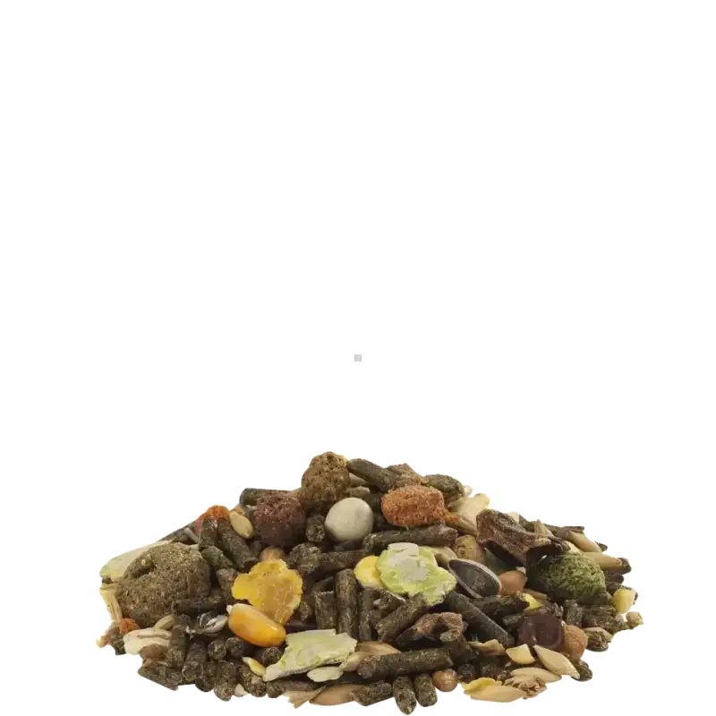 CUNI FIT Muesli 20kg - Mélange très varié de granulés, de flocons et de graines - BIRD SHOP ORNITHOLOGIE LUXEMBOURG S.A.R.L-S