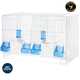 Cage d'élevage 2GR en inox plastifié blanc avec rouleaux de papier pour nettoyage facile, 58x30 cm, double grille de fond, 4 portes, 2 abreuvoirs et 4 perchoirs.