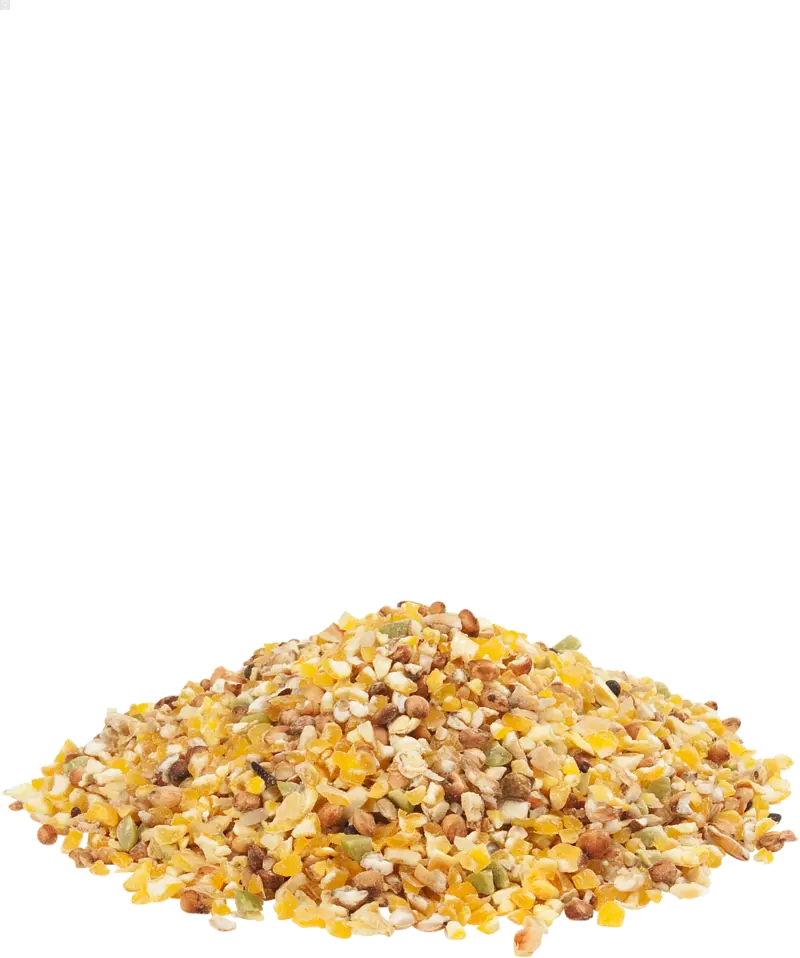 Country's Best GRA-MIX Mélange Poules 20kg - Mélange de céréales avec du maïs entier et graines de tournesol Versele-Laga
